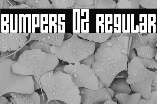 Bumpers 02 Regular Font examples