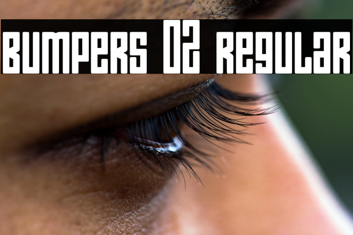 Bumpers 02 Regular Example 3