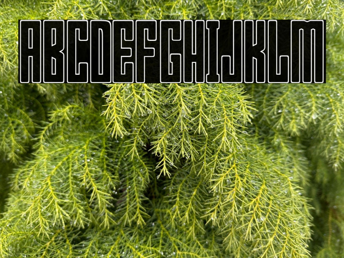 Bumpers 03 outline Regular Example 1