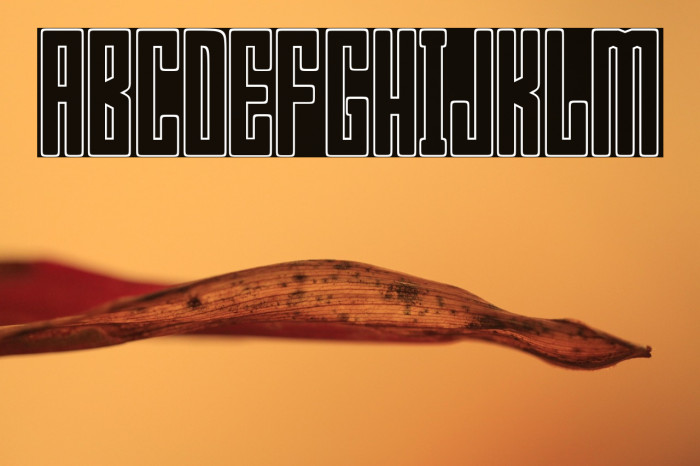 Bumpers 03 outline Regular Example 2