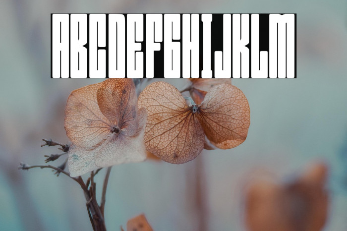 Bumpers Regular Example 1