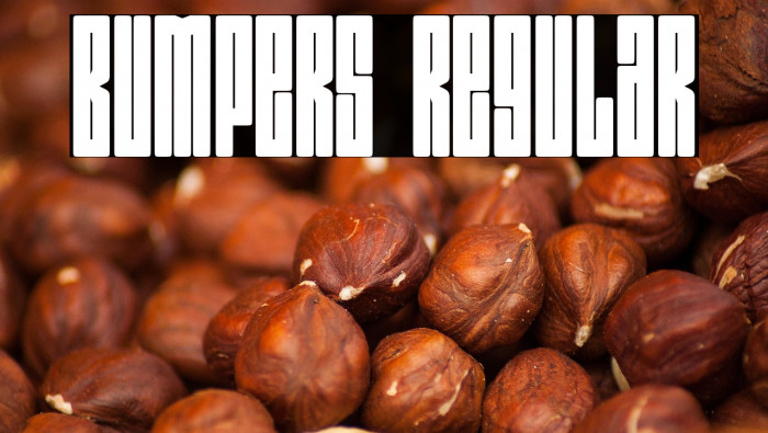 Bumpers Regular Example 1