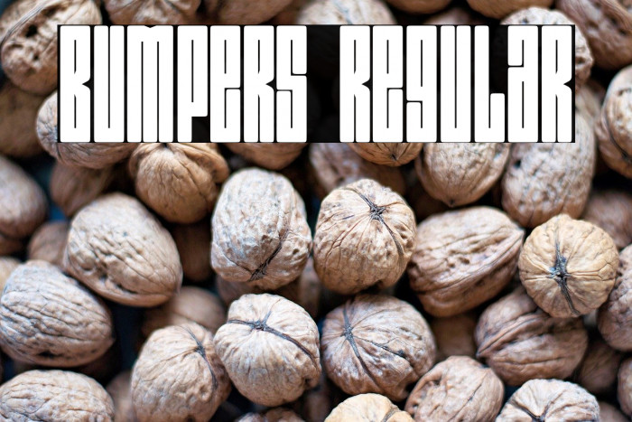 Bumpers Regular Example 2