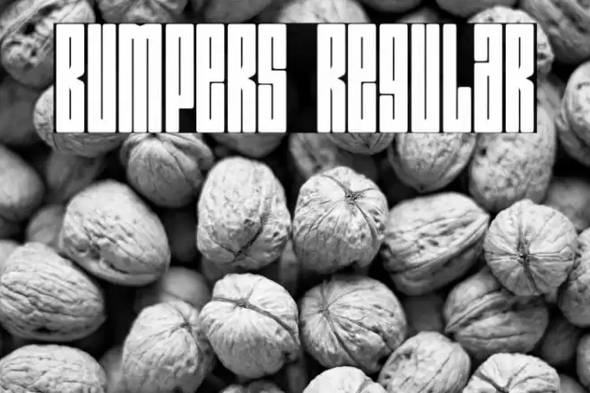 Bumpers Regular Font examples