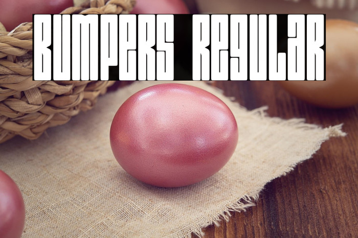 Bumpers Regular Example 3