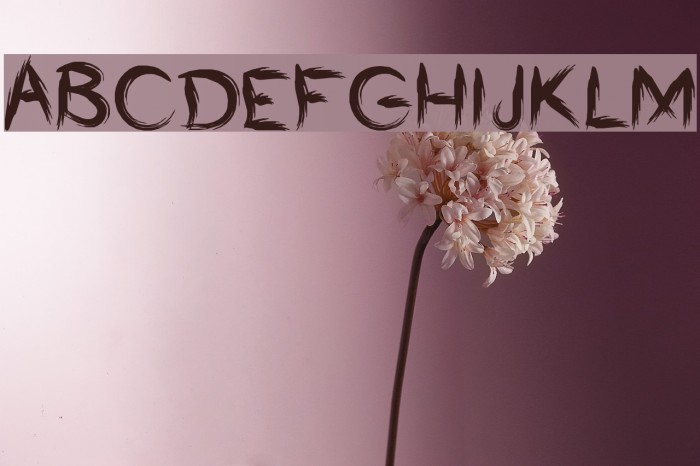 Bumrush Font examples