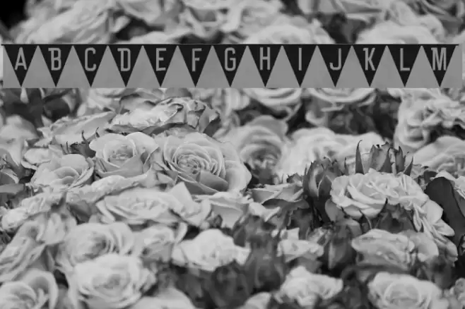 Bun Ting Font examples