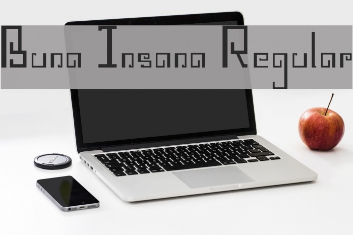Buna Insana Regular Font examples