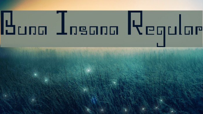 Buna Insana Regular Font examples