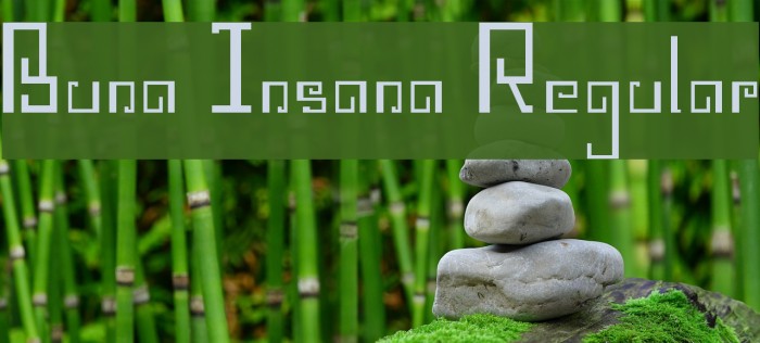 Buna Insana Regular Font examples