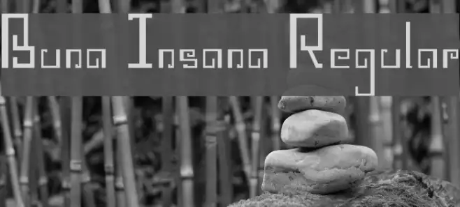 Buna Insana Regular Example 3