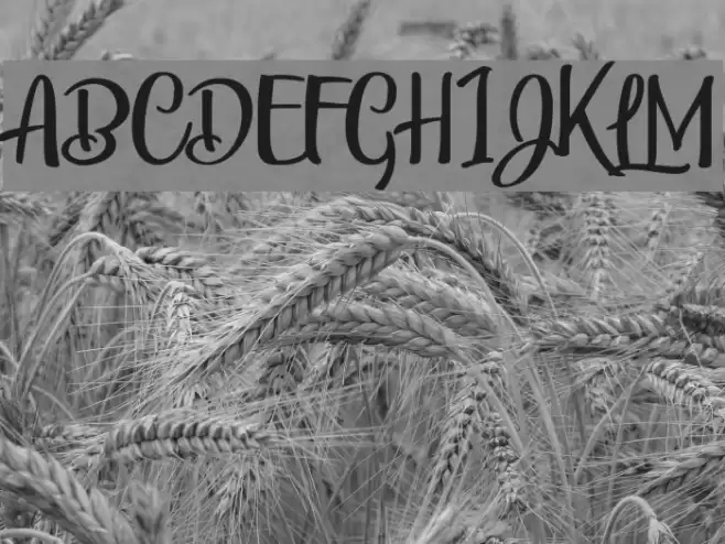 Bunch Blossoms Personal Use Font examples