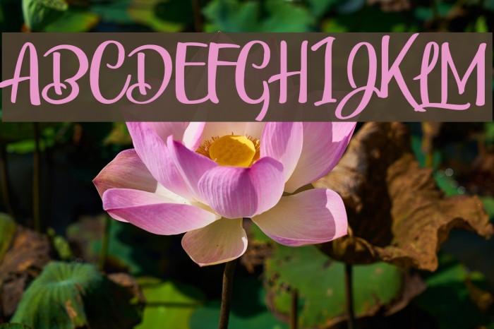 Bunch Blossoms Personal Use Font examples