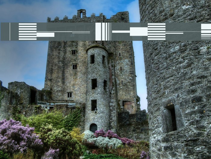 Bunch Regular Example 2