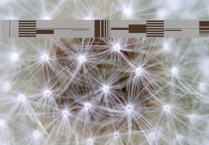 Bunch Regular Example 3