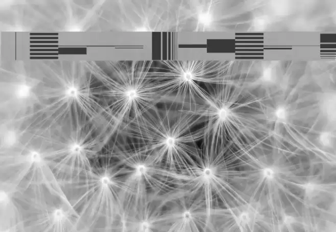 Bunch Regular Font examples