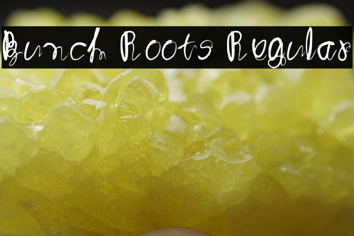 Bunch Roots Regular Example 2