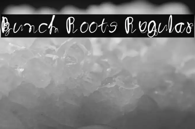 Bunch Roots Regular Example 2