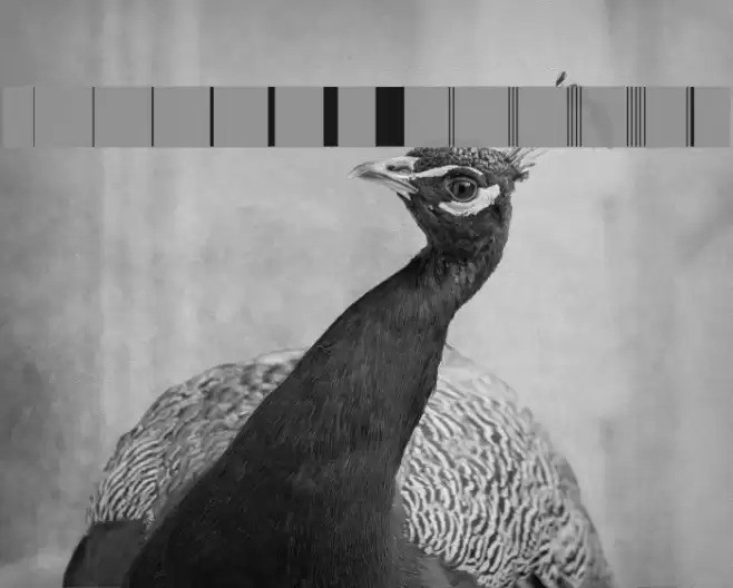 BunchOLines Font examples