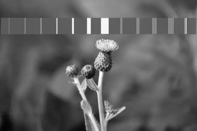 BunchOLines Font examples