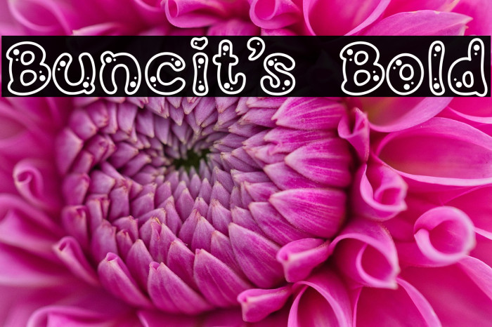 Buncit's Bold Example 2