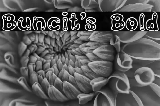 Buncit's Bold Example 2