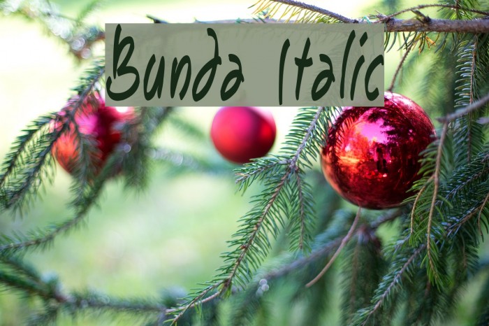 Bunda Italic Font examples