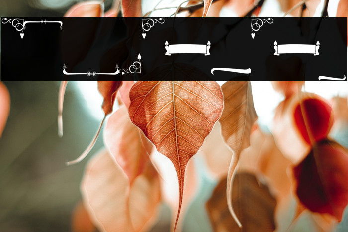 BundaSwash Example 1