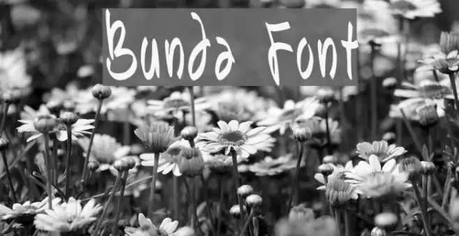Bunda Font examples
