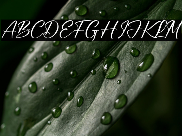 Bundaria خط examples