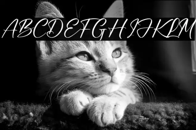 Bundaria Font examples