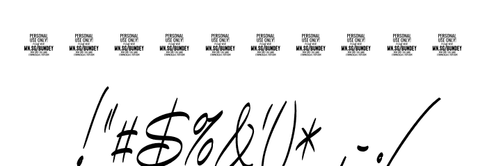 Bundey Script PERSONAL USE Bold Italic Font OTHER CHARS