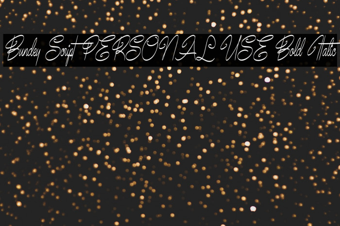 Bundey Script PERSONAL USE Bold Italic Example 1