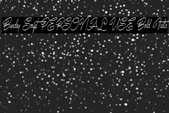 Bundey Script PERSONAL USE Bold Italic Example 1