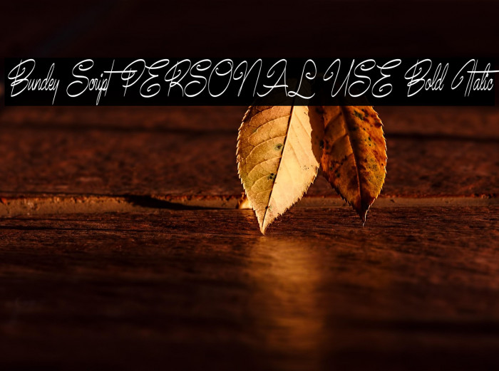 Bundey Script PERSONAL USE Bold Italic Example 3