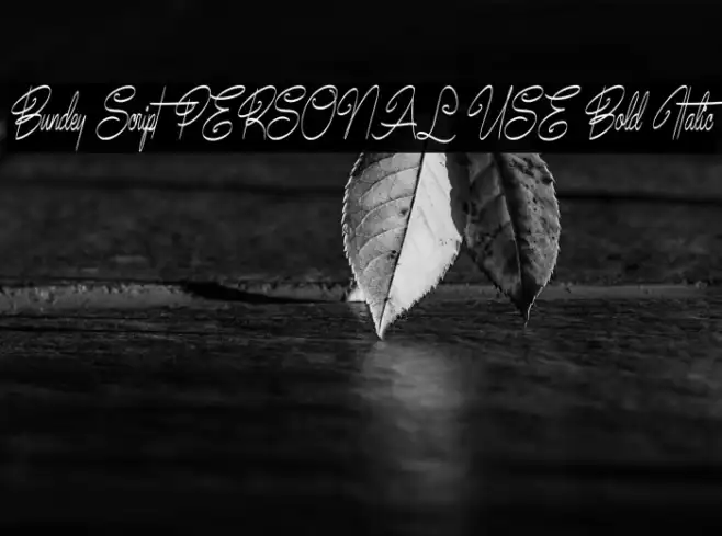 Bundey Script PERSONAL USE Bold Italic Example 3