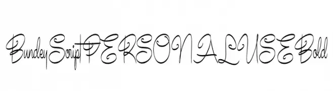 Bundey Script PERSONAL USE Bold  Descarca Fonturi Gratis