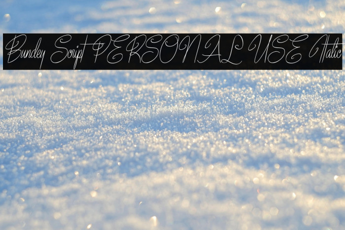 Bundey Script PERSONAL USE Italic Example 2