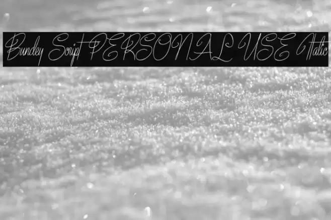 Bundey Script PERSONAL USE Italic Font examples
