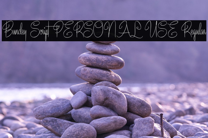 Bundey Script PERSONAL USE Regular Example 1