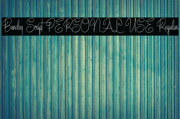 Bundey Script PERSONAL USE Regular Example 2