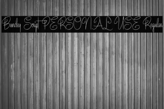 Bundey Script PERSONAL USE Regular Example 2