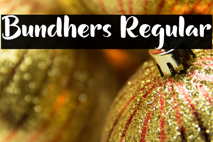 Bundhers Regular Example 2