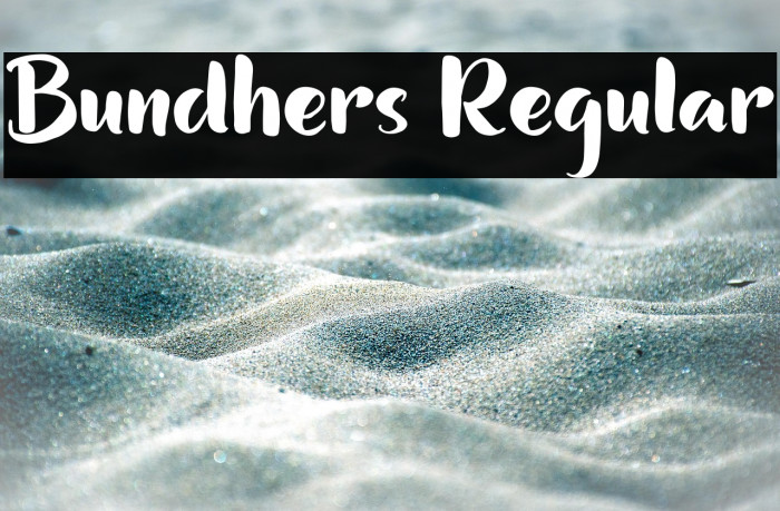 Bundhers Regular Example 3