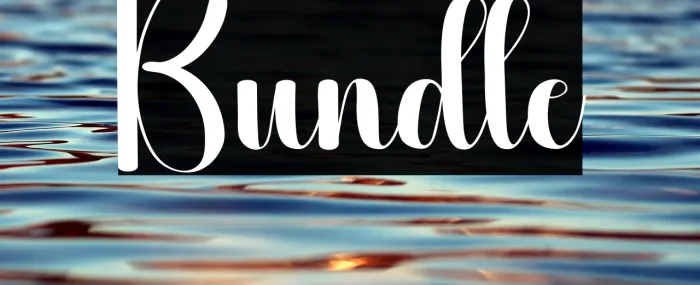 Bundle Example 1