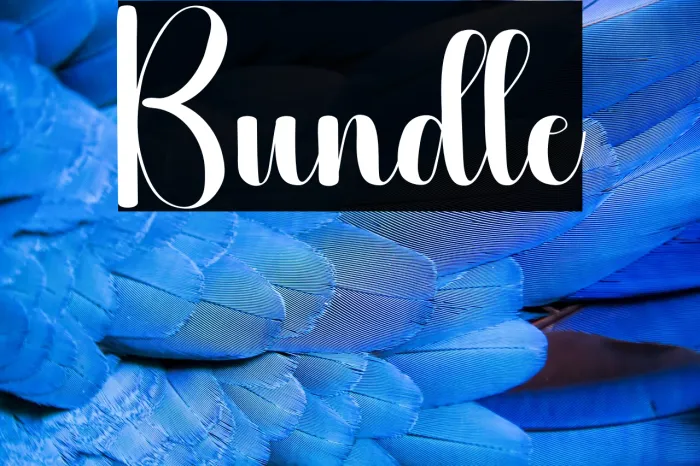 Bundle Example 2