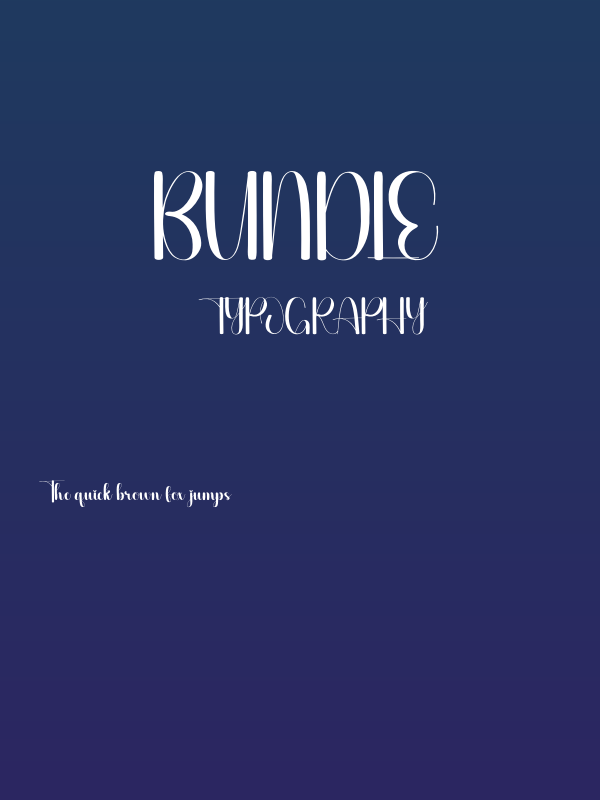 Bundle Poster