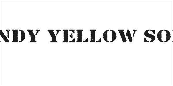 Bundy Yellow Solid Logo