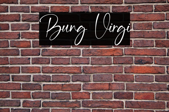 Bung Virgi Example 1