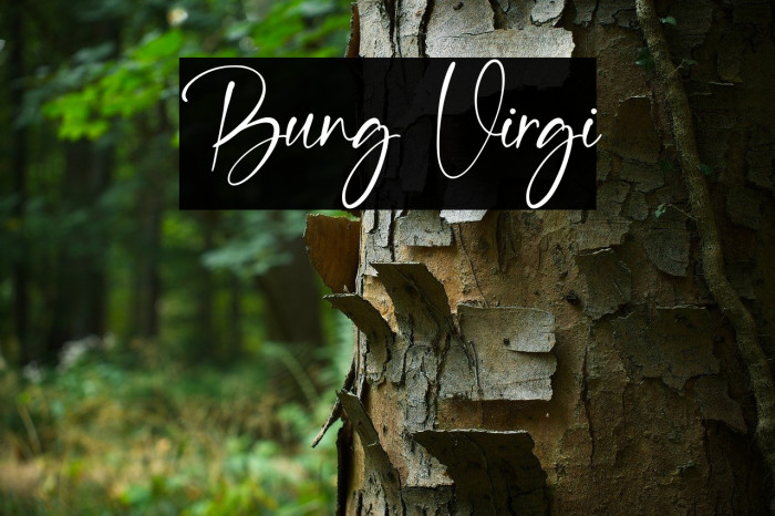 Bung Virgi Example 3